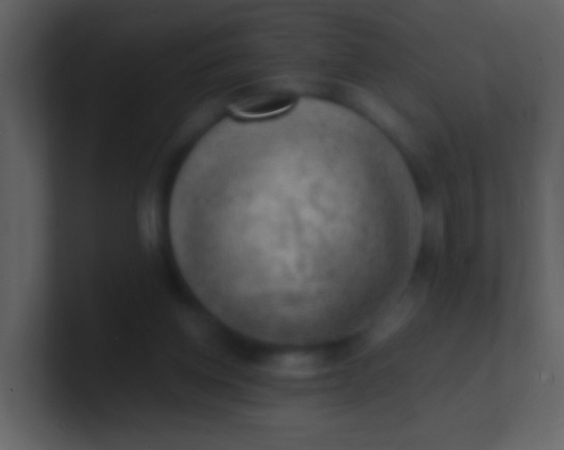 X0000100930158200807081220