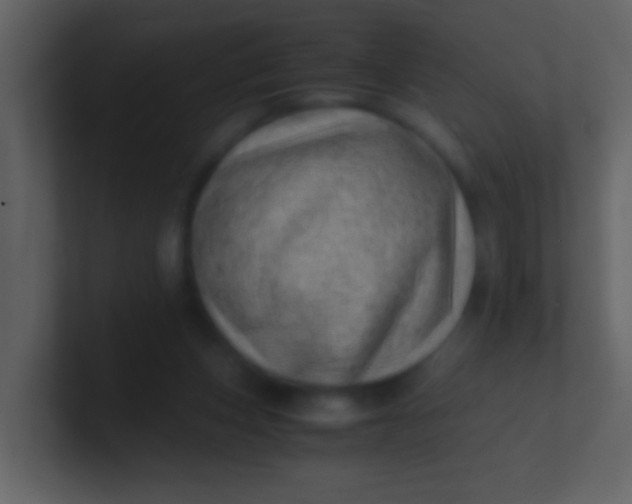 X0000100930159200807081220