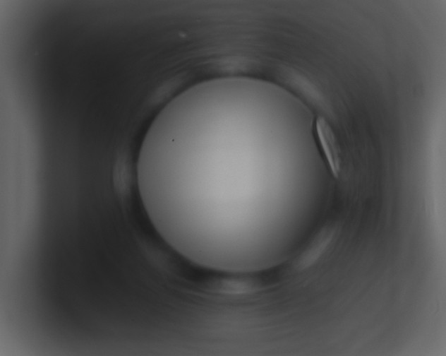 X0000100930164200807081220