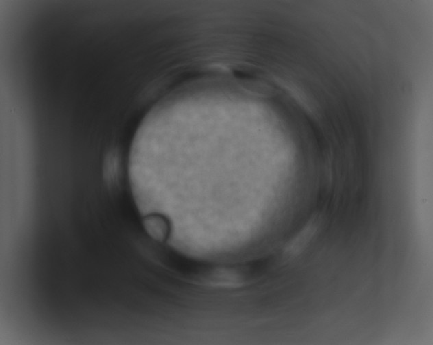 X0000100930166200807081220