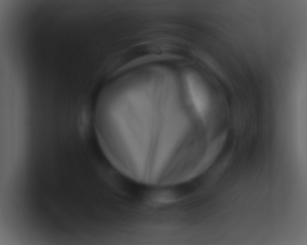 X0000100930169200807081220