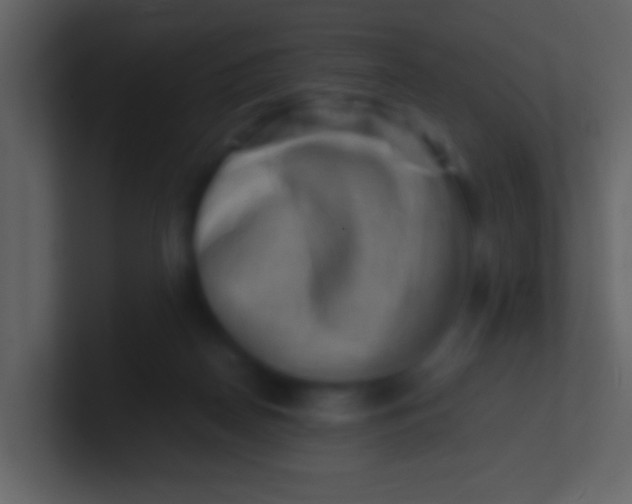 X0000100930170200807081220