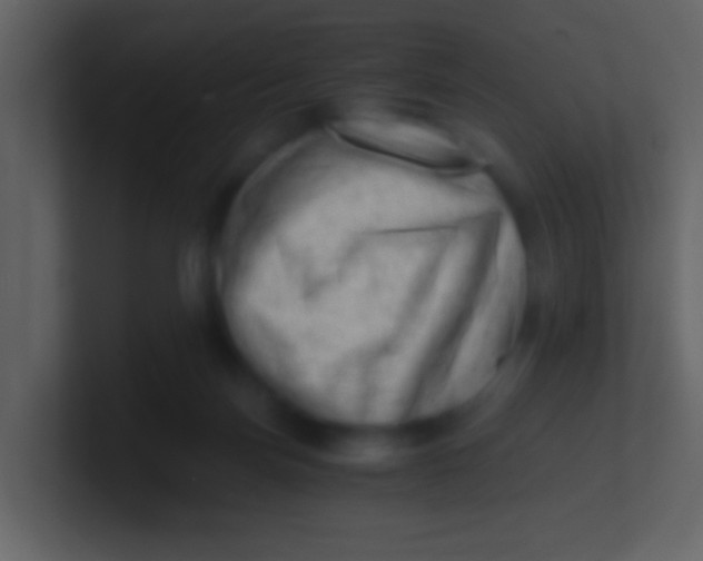 X0000100930171200807081220