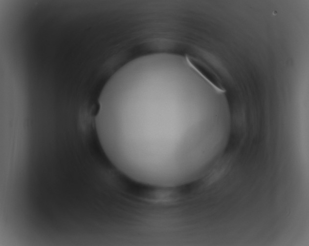 X0000100930172200807081221