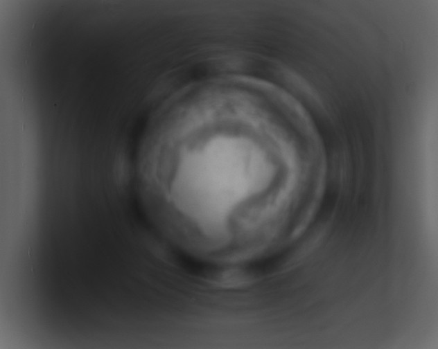 X0000100930173200807081221