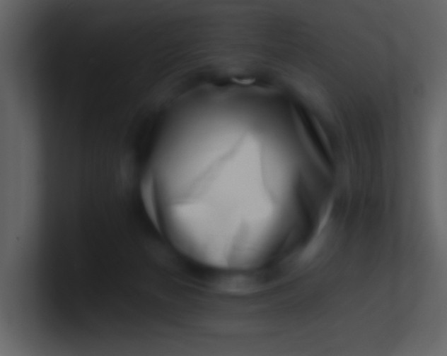 X0000100930174200807081221