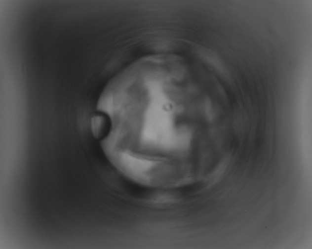 X0000100930175200807081221