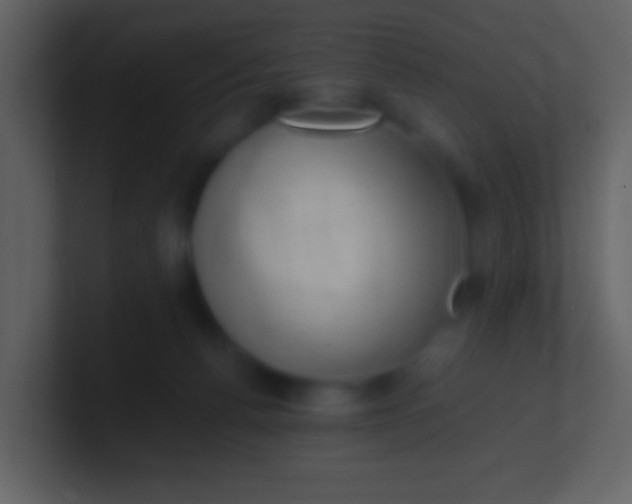 X0000100930176200807081221