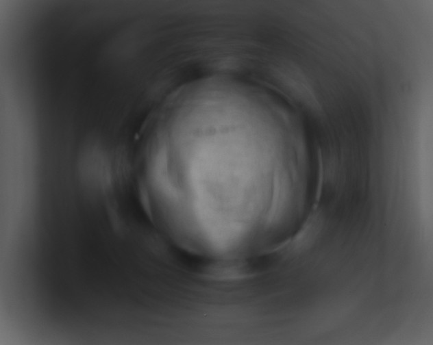 X0000100930179200807081221