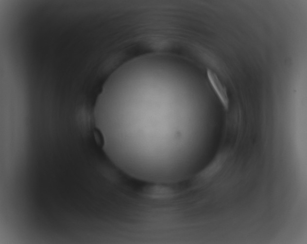 X0000100930180200807081221