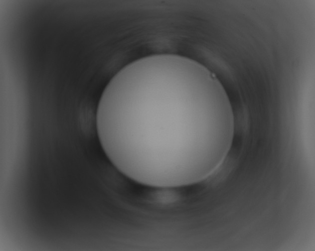 X0000100930183200807081221