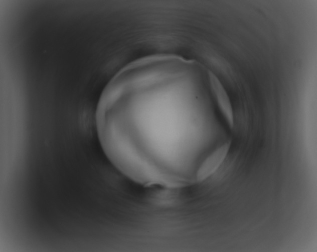 X0000100930184200807081221