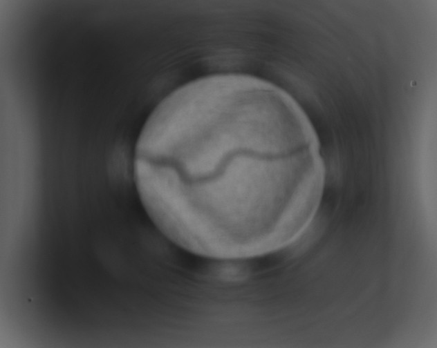 X0000100930187200807081221