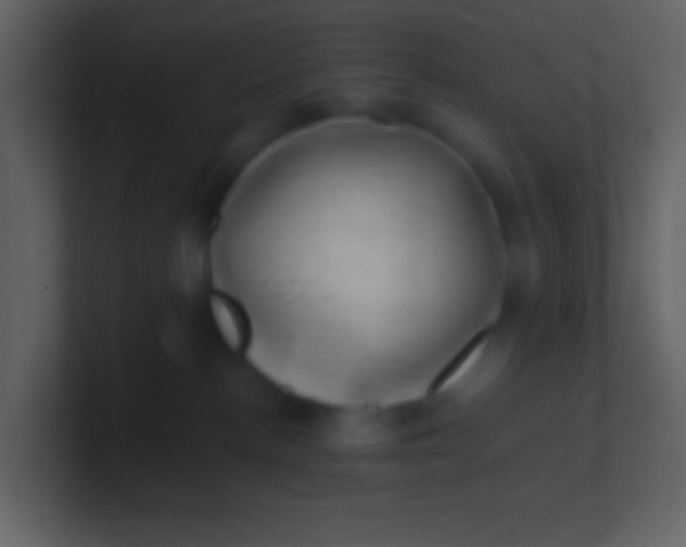 X0000100930188200807081221