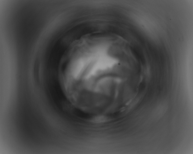 X0000100930189200807081221