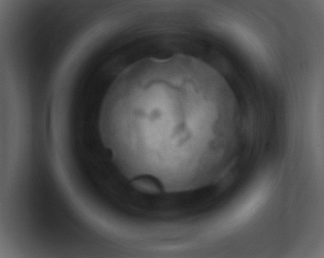 X0000100930191200807081221