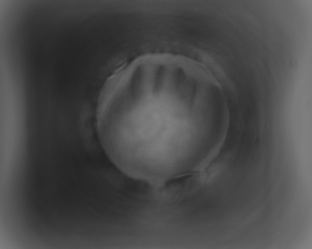 X0000100930192200807081221