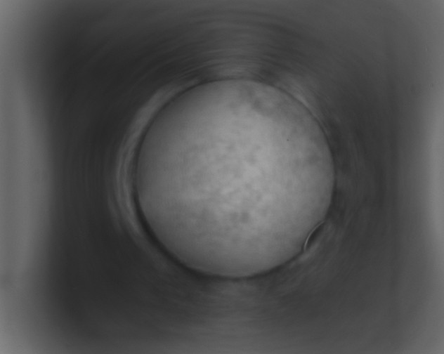 X0000100930193200807081220