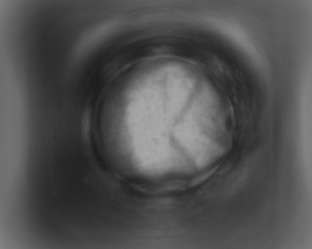 X0000100930194200807081220