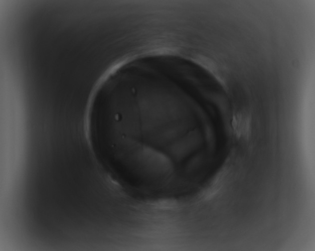 X0000100930196200807081220