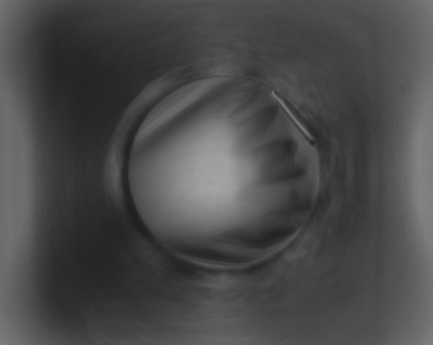 X0000100930197200807081220