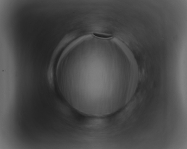 X0000100930198200807081220