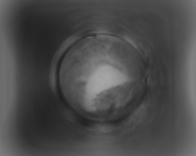 X0000100930199200807081220