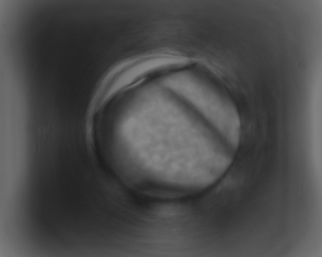 X0000100930200200807081220