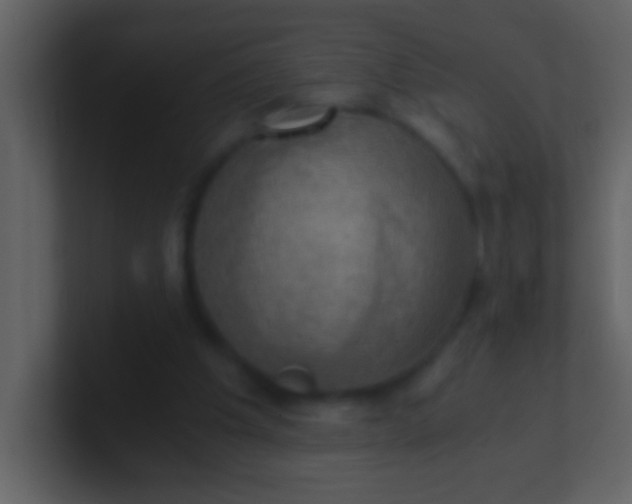 X0000100930201200807081220