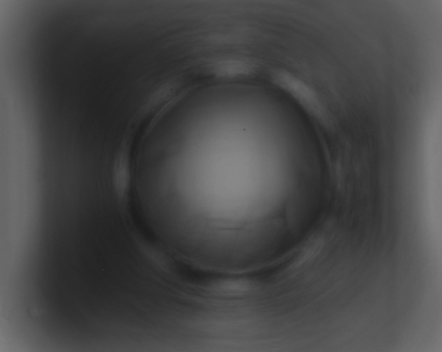 X0000100930202200807081220