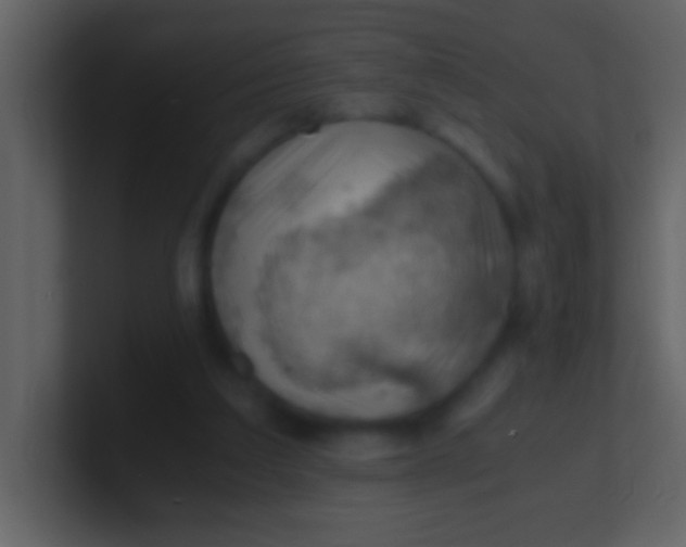 X0000100930203200807081220