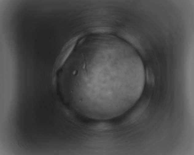 X0000100930204200807081220