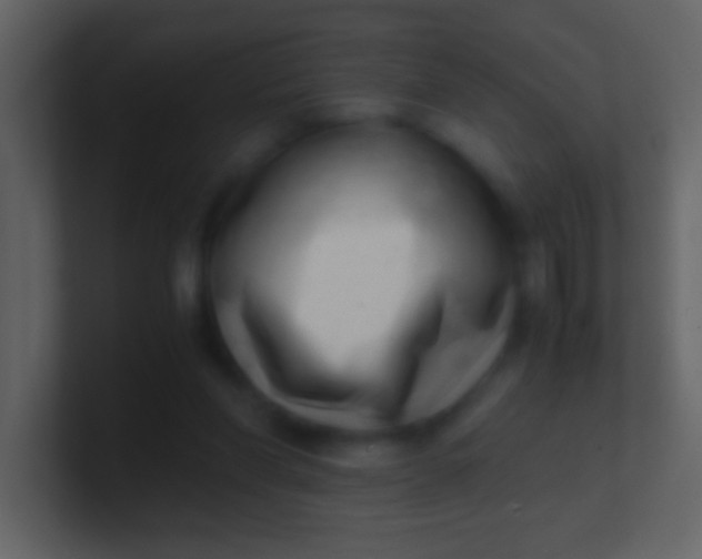 X0000100930206200807081220