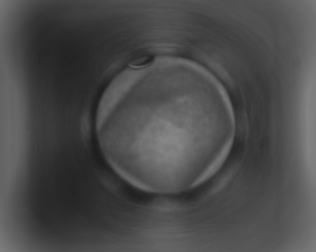 X0000100930207200807081220