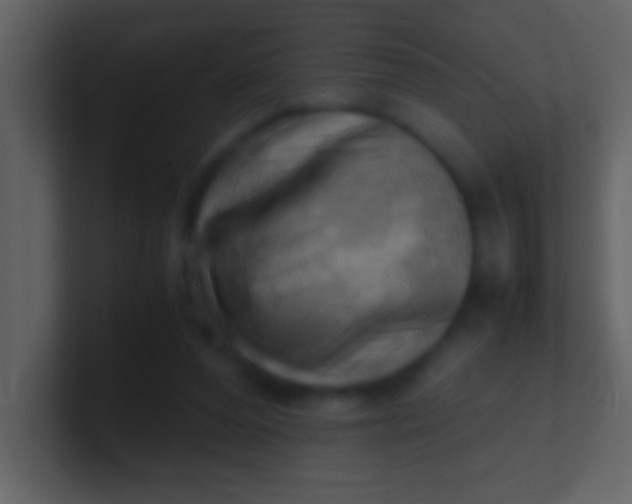 X0000100930208200807081220