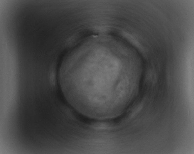 X0000100930209200807081220