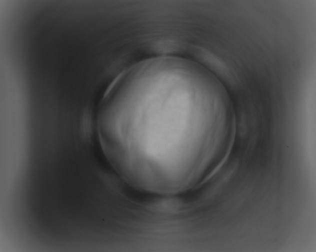 X0000100930210200807081220