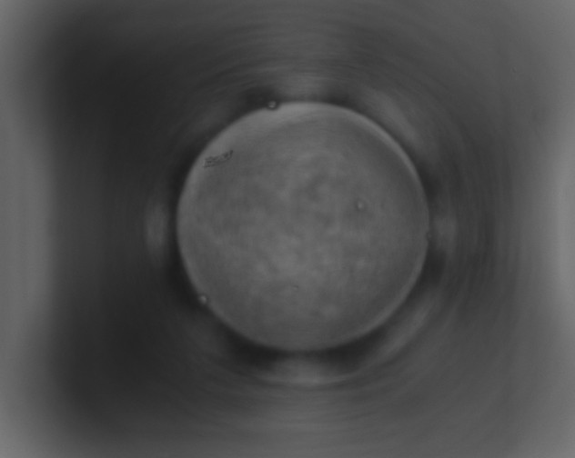 X0000100930211200807081220