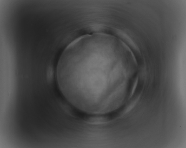 X0000100930213200807081220