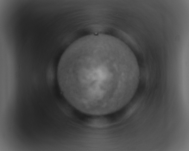 X0000100930215200807081220