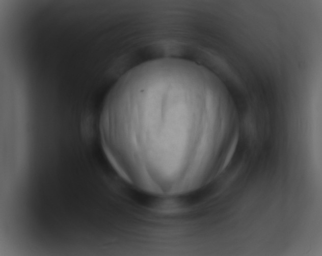 X0000100930218200807081220