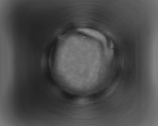 X0000100930220200807081220