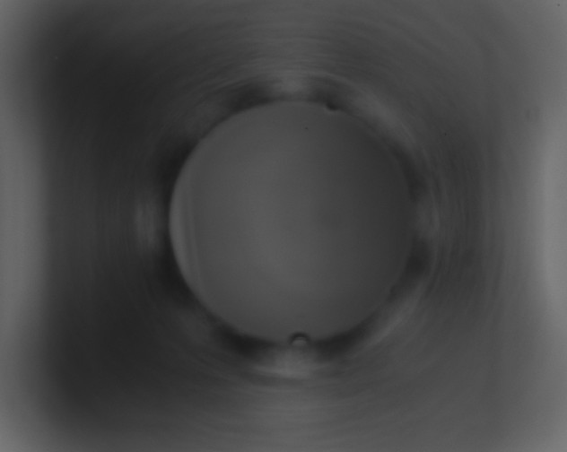 X0000100930223200807081220