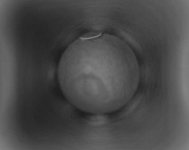 X0000100930225200807081220