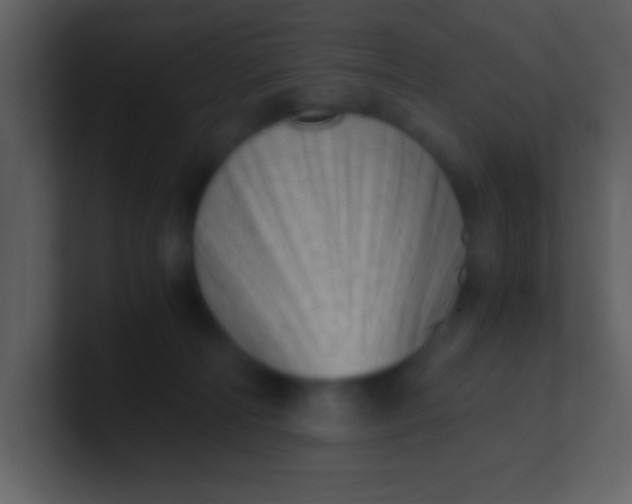 X0000100930226200807081220