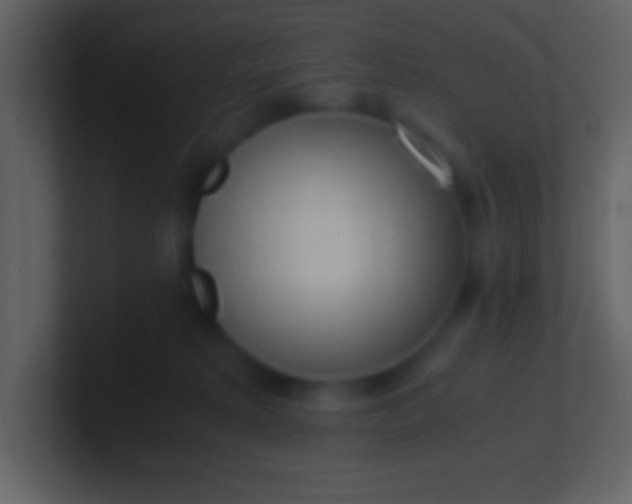 X0000100930229200807081220