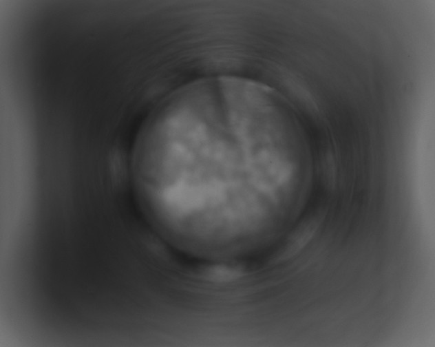 X0000100930232200807081220