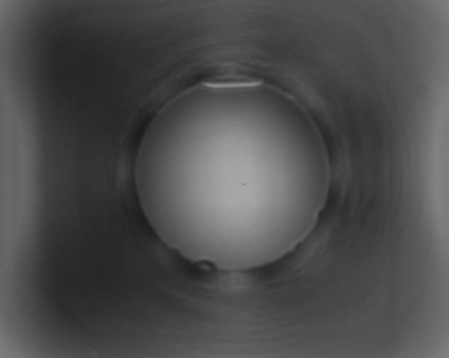 X0000100930233200807081220