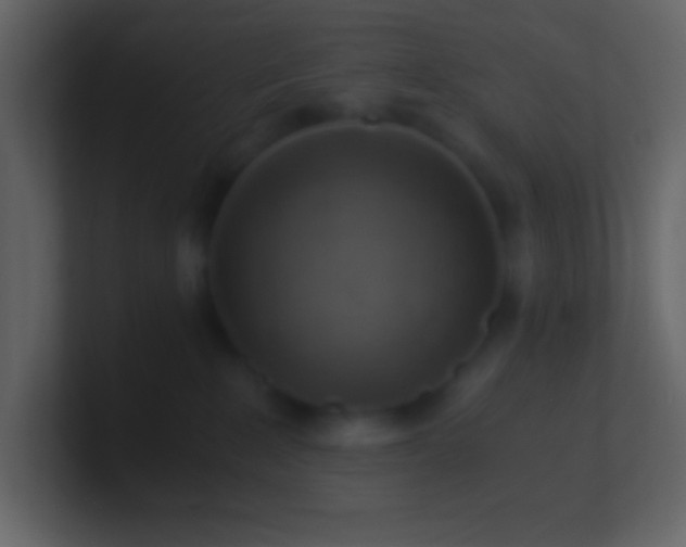 X0000100930235200807081219