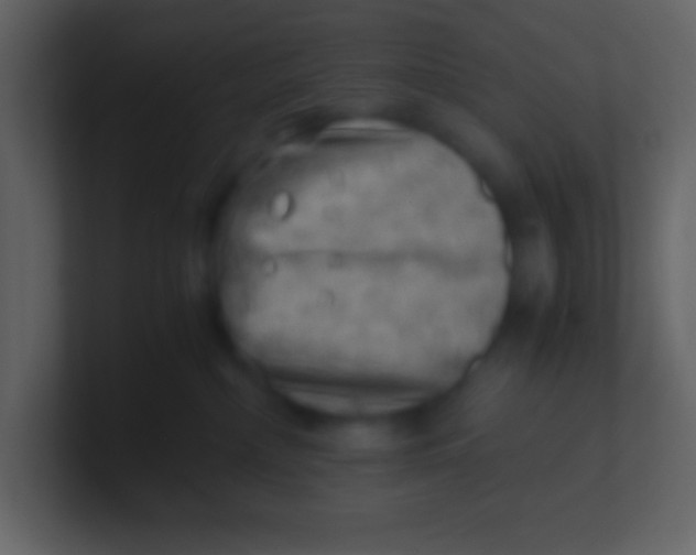 X0000100930236200807081219